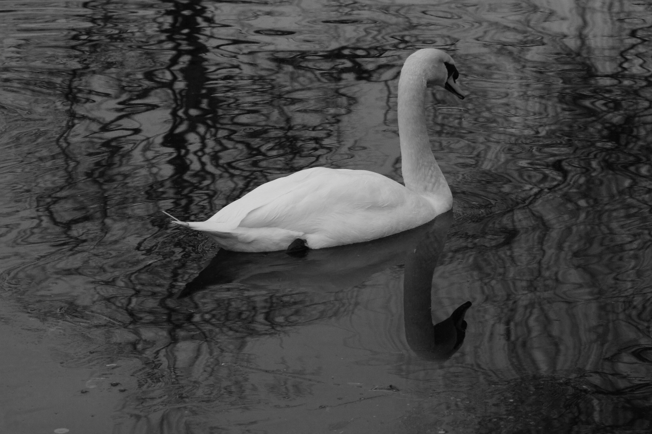 2016 01 07 HTP 000093241ebw